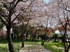 -枫桥景区