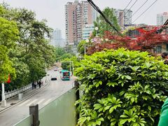 -树厨贵州菜(铜仁花果山店)