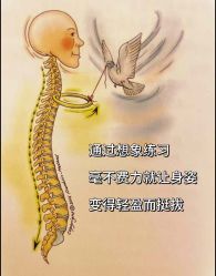 -归位瑜伽＆普拉提馆