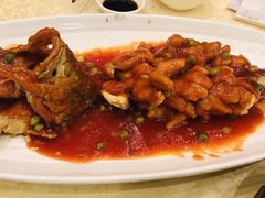 松鼠大桂鱼-绿波廊(豫园店)