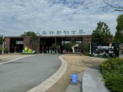 -苏州上方山国家森林公园