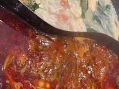 -朱光玉火锅馆(正弘城店)