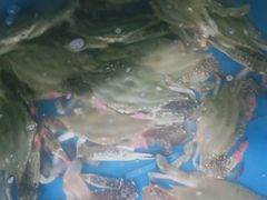 -宾朋海鲜特色美食餐厅·纯手工鲅鱼水饺(兴海路店)