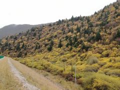 -冶力关旅游区