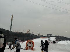 -五龙山野生动物王国