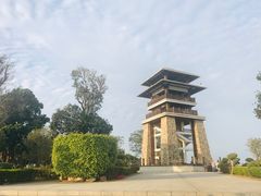 -大湾区中央湿地公园