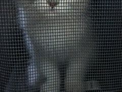 -pd派德宠物中心医院24H急重症·眼科中心·血液透析中心(嵩山北路店)