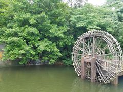 -石老人观光园