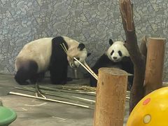 -西安秦岭野生动物园