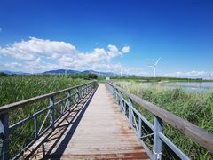 -怀来官厅水库