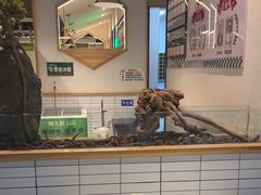 -周大厨辣椒炒肉(淮安万达店)