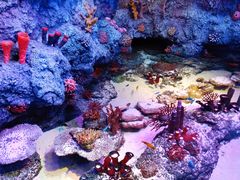 -沈阳海洋探索中心