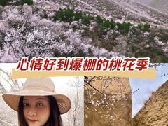 -北京凤凰岭