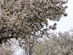 -民园广场