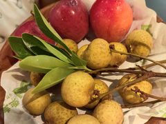 -季季山·云南野生菌火锅(上海首店)