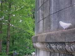 -音乐台