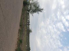 -苏泊罕大草原旅游景区