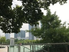 -天鹅湖体育公园