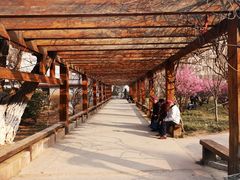 -山东大学(趵突泉校区)