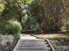 -南宁南湖公园
