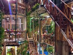 -Rainforest