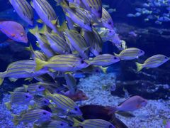 -海合安武汉极地海洋公园