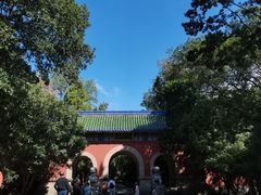 -灵谷景区