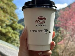 -苍山感通索道