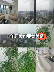 -HEYAN荷妍专业脱毛连锁机构