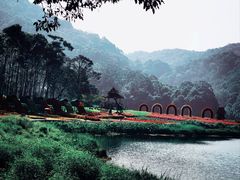 -广州市石门国家森林公园