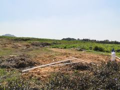 -光明小镇欢乐田园