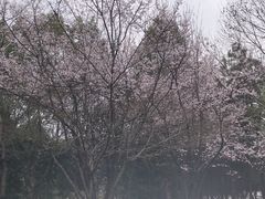 -孝子祠公园