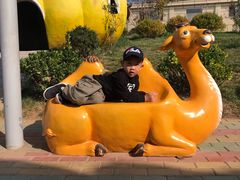 -西霞口神雕山野生动物世界