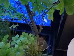 -水秀坊·足道 SPA (巨鹿店)