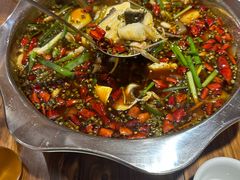 -乡土特色.冷锅鱼.牦牛肉汤锅