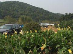 -龙寺生态园