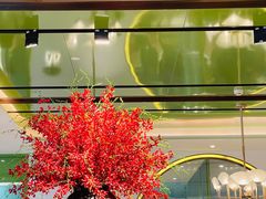 -望湘园·小雅(德基店)
