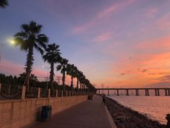 -宝安西湾红树林湿地公园