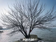 -洪泽湖古堰景区