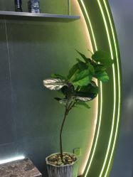 -不迫先生专业男士剪发