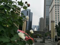 -中央公园(苏州工业园区)