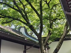 -上海醉白池公园