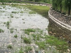 -百花人家(清水田园店)