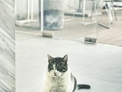 -UNIUNI(凯瑟琳广场店)