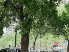 -BE YOLO必有乐&小红帽三明治