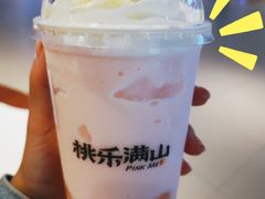 桃乐满山雪顶-桃乐满山(川沙百联店)