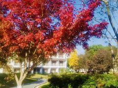 -梁鸿湿地丽笙度假酒店大堂吧