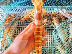 -凯华海鲜火锅·传承三十六年