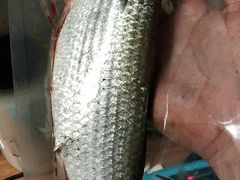 -龙溪海鲜酒家(溪涌店)