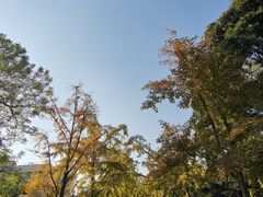 -八大关景区